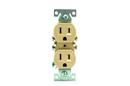 15A Electrical Duplex Receptacle in Ivory