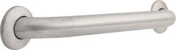 18 in. Grab Bar in Brilliance® Stainless