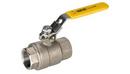 Warren Valve LP Stainless Steel Full Port Threaded 1000# Ball Valve 