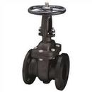 6 in. Carbon Steel Flanged Gate Valve