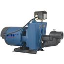 Flint & Walling Shallow Well Jet Pump 