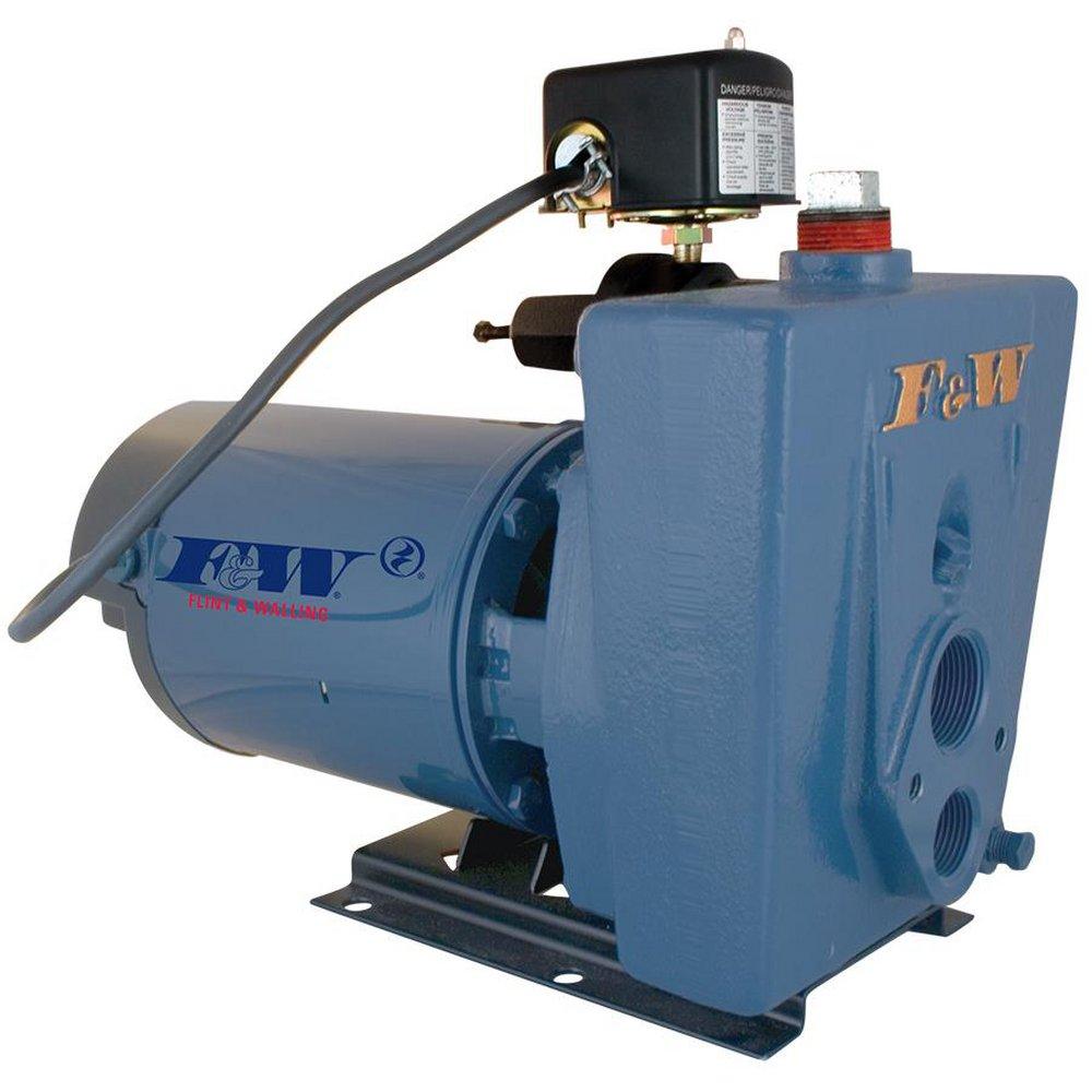 Flint & Walling Jet Pump with Convertible Ejector 