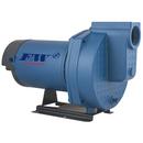 Flint & Walling 2 hp 1-Phase Centrifugal Pump 