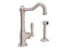 Single Handle Bar Faucet with Side Spray in Satin Nickel