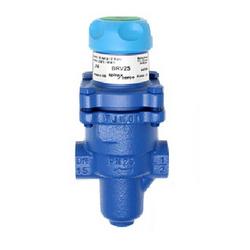 3/4" NPT BRV2S Direct Operated Pressure Regulator, Ductile Iron, Range 20-58 PSIG