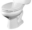 Briggs Plumbing Products White 1.6 gpf Elongated Toilet Bowl 