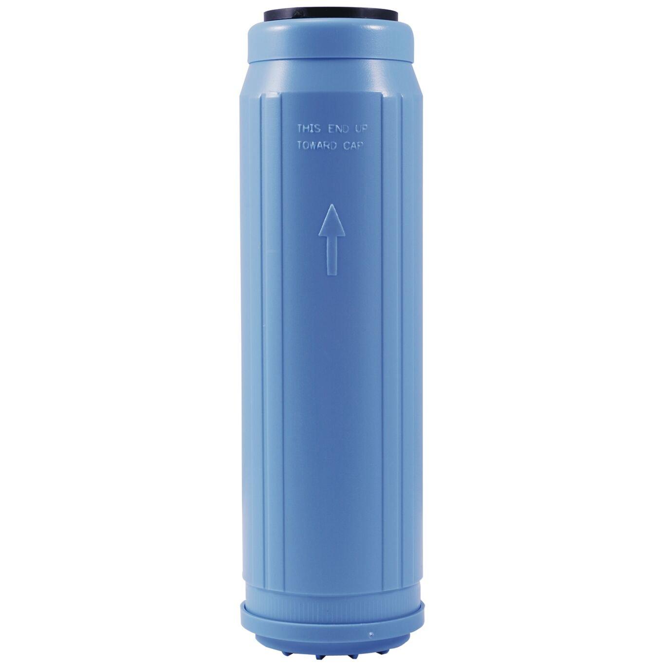 Watts Carbon 1 gpm Filter 