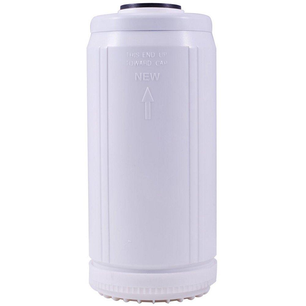 Watts 7500 gal Granular Carbon Filter Cartridge 