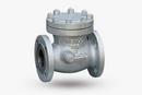 14 in. Cast Carbon Steel Flanged Swing Check Valve
