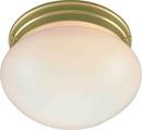 9 in. 2-Light Ceiling Flushmount in Polished Brass