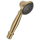 Single Function Hand Shower in Champagne Bronze