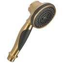 Multi Function Hand Shower in Champagne Bronze