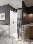 Delta Faucet Brilliance&reg; Champagne Bronze Single Handle Single Function Shower Faucet (Trim Only) 