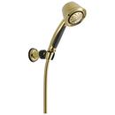 Multi Function Hand Shower in Polished Brass