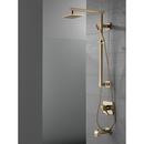 Delta Faucet Brilliance Champagne Bronze Two Handle Bathtub & Shower Faucet (Trim Only) 