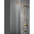 Delta Faucet Brilliance Champagne Bronze Two Handle Bathtub & Shower Faucet (Trim Only) 
