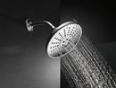 Delta Faucet Venetian&reg; Bronze Multi Function Full Body, Full Spray with Massage and Massaging Showerhead 