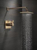 Delta Faucet Brilliance Champagne Bronze Two Handle Single Function Shower Faucet (Trim Only) 