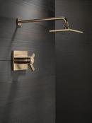Delta Faucet Champagne Bronze Two Handle Single Function Shower Faucet (Trim Only) 