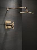 Delta Faucet Brilliance Champagne Bronze Two Handle Single Function Shower Faucet (Trim Only) 