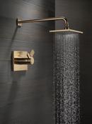Delta Faucet Brilliance Champagne Bronze Two Handle Single Function Shower Faucet (Trim Only) 