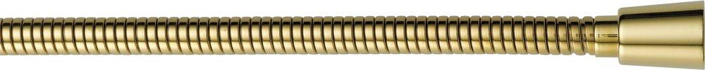 Delta Faucet Brilliance&reg; Polished Brass Hand Shower Hose 