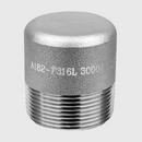 3/4 in. Threaded 3000# Round Head 316L Stainless Steel Plug