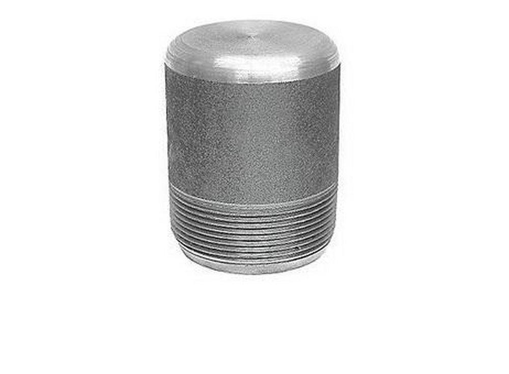 Threaded 3000# Round Head 316L Stainless Steel Plug 
