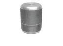 1/2 in. Threaded 3000# Round Head 316L Stainless Steel Plug