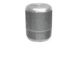 1 in. Threaded 3000# Round Head 304L Stainless Steel Plug
