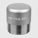 1 in. Threaded 3000# Round Head 304L Stainless Steel Plug