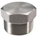 1/2 in. Threaded 3000# 304L Stainless Steel HEX Plug