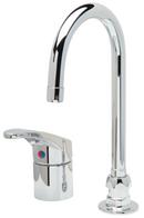 Zurn Polished Chrome Single Handle Lever Deck Mount Healthcare Faucet 