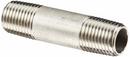 2 x 4 in. MNPT Schedule 40 Domestic 316L Stainless Steel Nipple