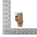 Navien Isolation Valve