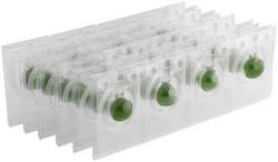 Waterless Urinal Maintenance Balls