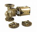 Lochinvar 2 in. Flange 1/4 hp All Bronze Pump 