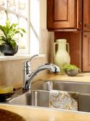 Moen Chrome Single Handle Pull Out Kitchen Faucet 