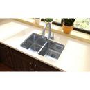 Elkay Lustrous Satin 31-1/4 x 20-1/2 in. No Hole Stainless Steel Double Bowl Undermount Kitchen Sink 