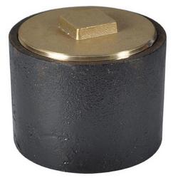 4 in. Brass Cleanout