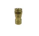 Coilhose Pneumatics Coupler x FPT Brass Connector 