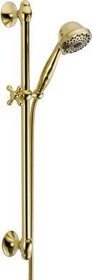 Multi Function Hand Shower in Polished Brass