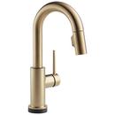 Single Handle Pull Down Bar Faucet in Brilliance® Champagne Bronze