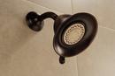 Delta Faucet Champagne Bronze Shower Flange 