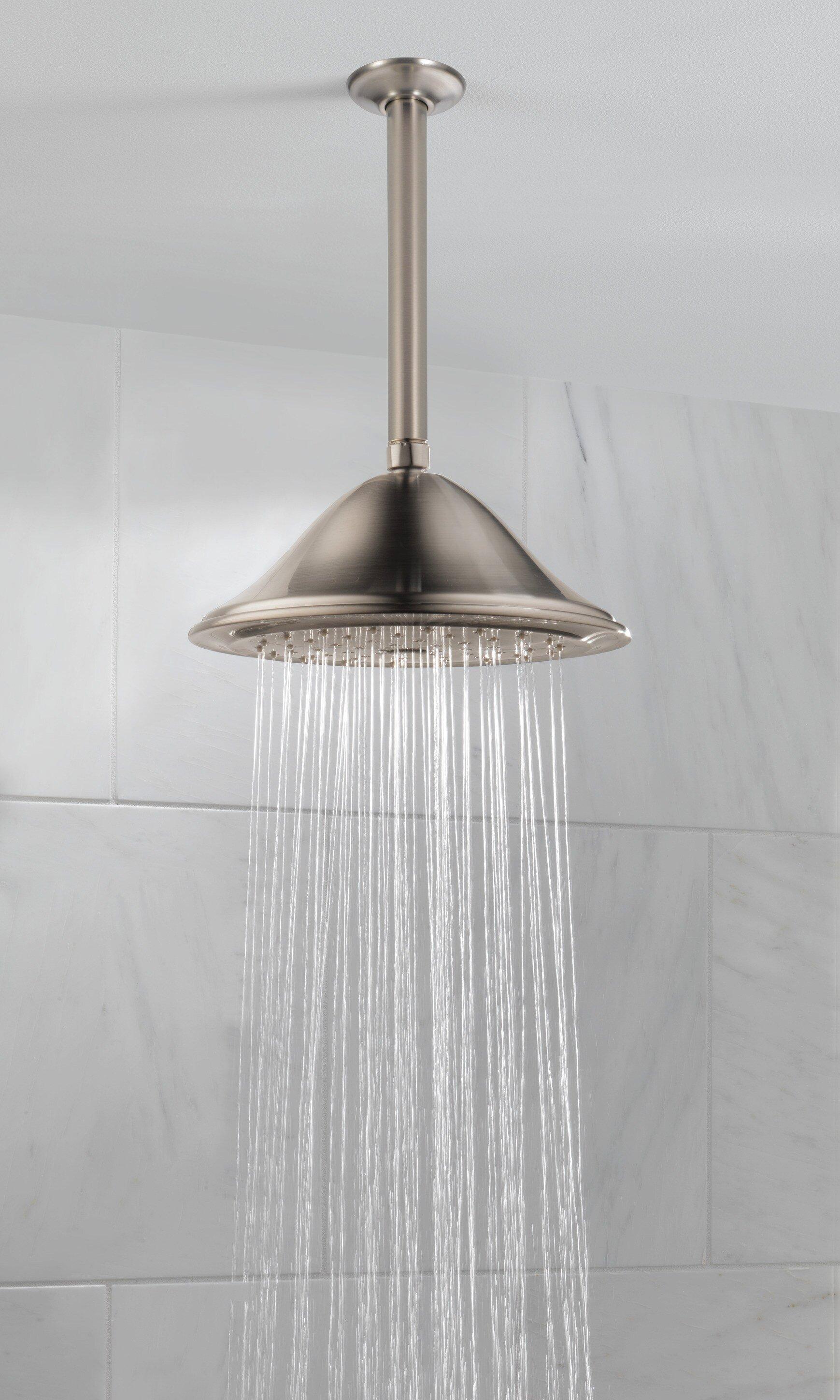 Delta Faucet Brilliance Stainless 1/2 x 10 x 2-1/2 in. NPT Brass, Metal and Stainless Steel Shower Arm and Flange 