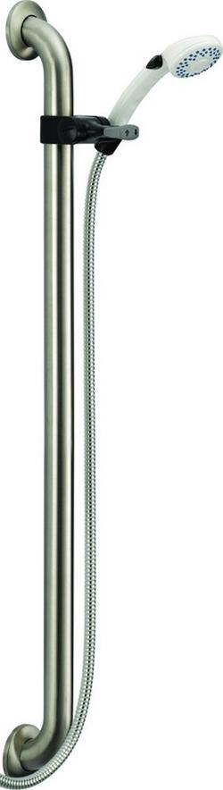 Dual Function Hand Shower in White