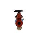 Zurn Wilkins Red Epoxy Coated Ductile Iron Flanged 175 psi Backflow Preventer 