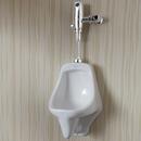 American Standard Polished Chrome 0.5 gpf Flush Valve 