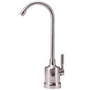 Watts Brushed Nickel Single Handle Lever Handle Water Filter Faucet 