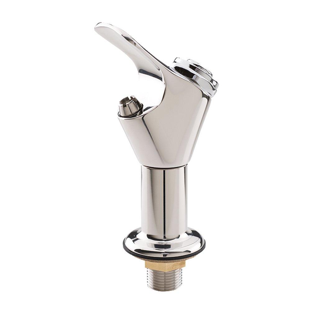 Haws® Polished Stainless Steel Push Button Handle Bubbler 